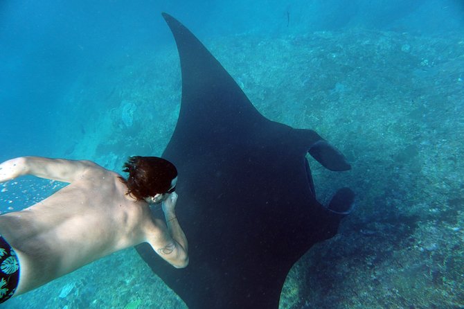 Snorkelling with Manta Rays at Nusa Penida and Lembongan - Second stop choices: Crystal Bay for turtles or Nusa Lembongan for coral health