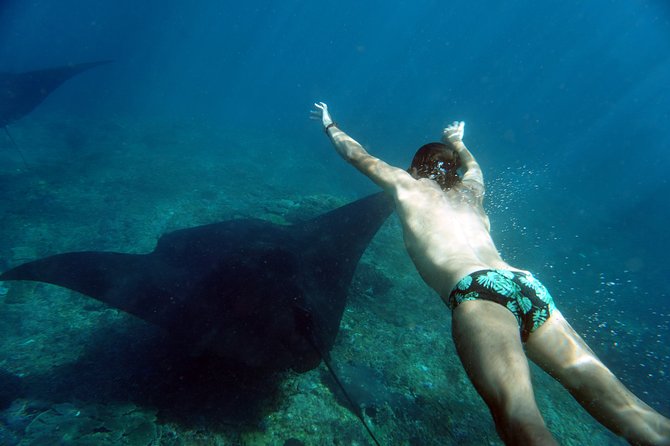 Snorkelling with Manta Rays at Nusa Penida and Lembongan - What’s included on the speedboat day, and why it matters