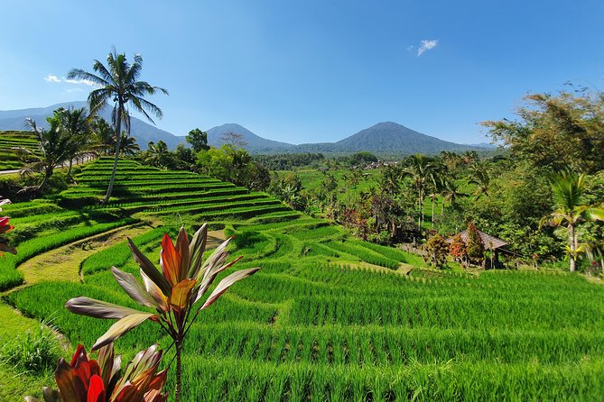 Solo or Group Tour - 10 Hours, 5 Persons Max - Meet Henni Feronica: the planning style that makes the day work
