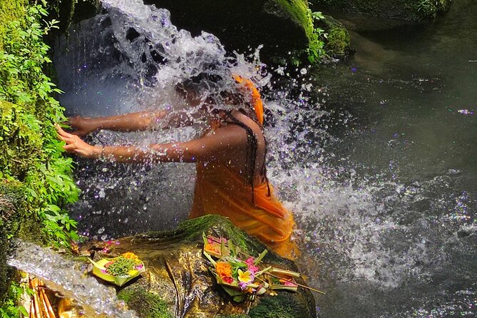 Spiritual Cleansing Ritual and Shamanic Healing in Bali - Tegallalang rice terraces, and how to enjoy them without racing