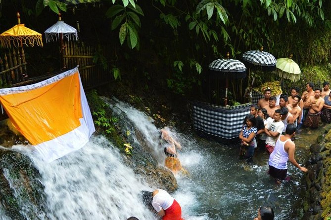 Spiritual Purification and Local Healer Visit Tour (ALL INCLUDED) - How This Tour Feels Different From a Typical Bali Day