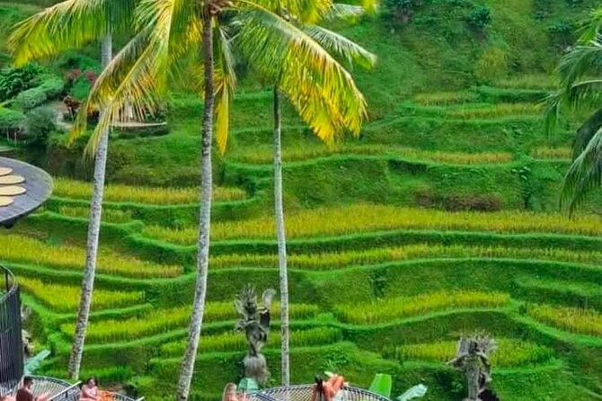 Sunset Sailboat Dinner Cruise & Private Ubud highlights Tour. - Ubud pacing: private means you control the rhythm