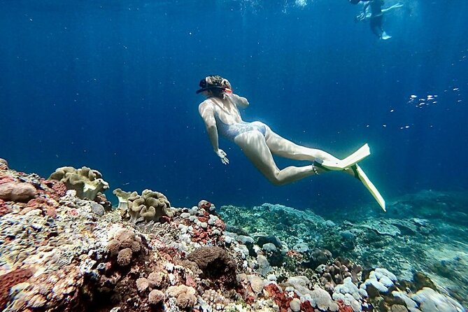 Swim with Manta Rays: Snorkeling Day Trip from Bali - Why This Manta-Ray Snorkel Day Trip Is Good Value from Kuta
