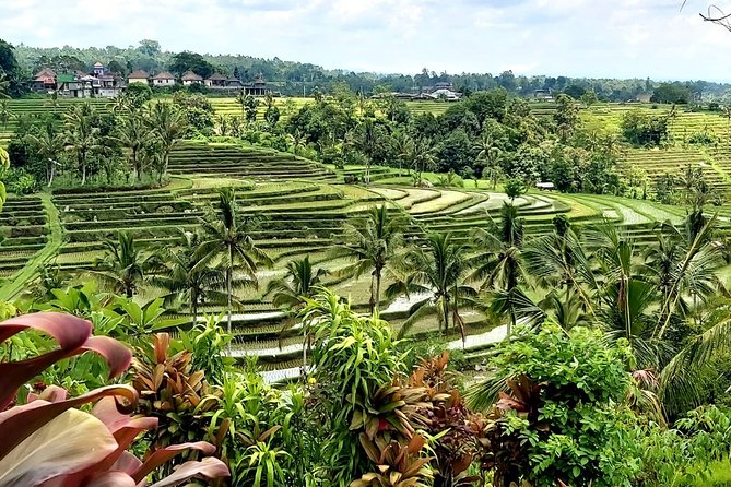 Tanah Lot and Jatiluwih Unesco Rice Terrace Private Tour - Luhur Batukaru Temple: Forest calm at the foot of Mount Batukaru