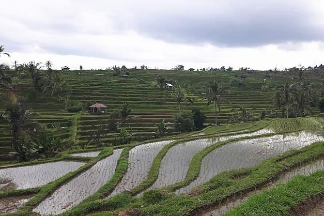 Tanah Lot and North Bali Private Tour - All inclusive - Ulun Danu Bratan Temple on Lake Bratan’s calm water