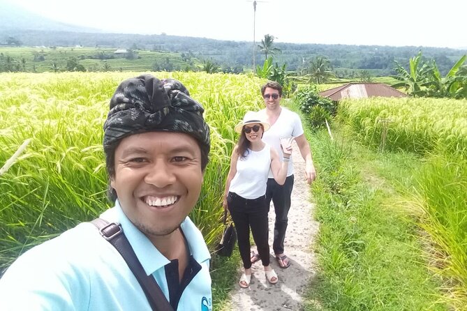 Tanah Lot and North Bali Private Tour - All inclusive - Leke Leke Waterfall, a green pause before the drive back
