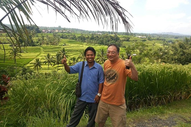 Tanah Lot and North Bali Private Tour - All inclusive - Jatiluwih Green Land and the scale of Bali’s rice terraces