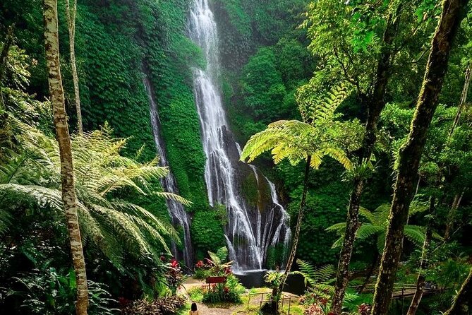Tanah Lot and North Bali Tour: Scenic Journey - Stop 2-4 area: Banyumala Twin Waterfalls and the swim option