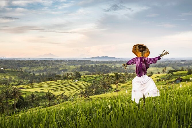 Tanah Lot, Jatiluwih Rice Terrace and Waterfall Day Tour - Price and What It Actually Costs You Per Person