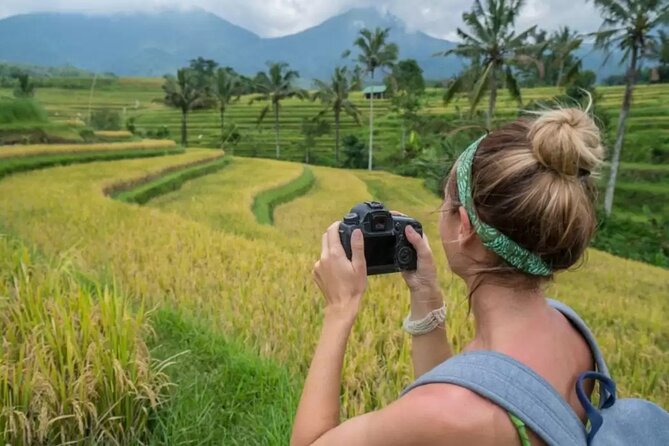Tanah Lot, Jatiluwih Rice Terrace and Waterfall Day Tour - The Guide Matters More Than You Think (Putu and Arta Are Names to Watch)