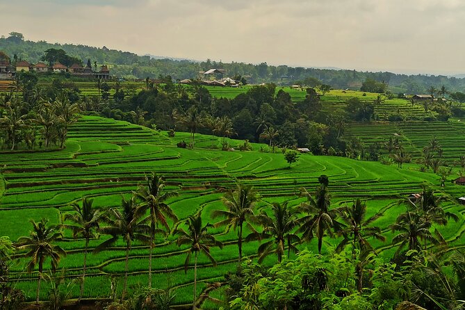 Tanah Lot Tour: Discover Bali’s Iconic Temple and Stunning Views - Stop 2: Tanah Lot Temple, built for sea and tide drama