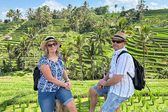Tanah Lot Tour & North Bali Tour : All-Inclusive Best Experience - How the North Bali day actually flows