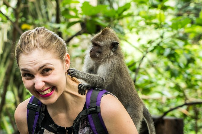 Tanah Lot Tour with Ubud Monkey Forest, Rice Terraces, and Waterfalls - Stop 1, Tanah Lot Temple: rock, sea air, and real-world sunset expectations