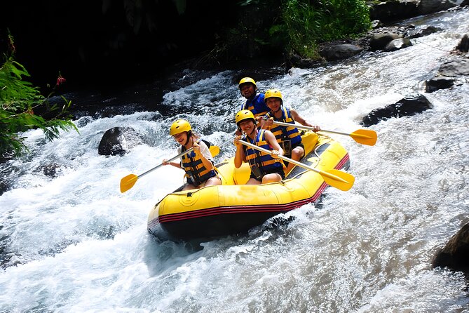 Telaga Waja White Water Rafting - With No Step or Stair : Bali Best Adventures - Who Should Book Telaga Waja Rafting (and Who Might Think Twice)