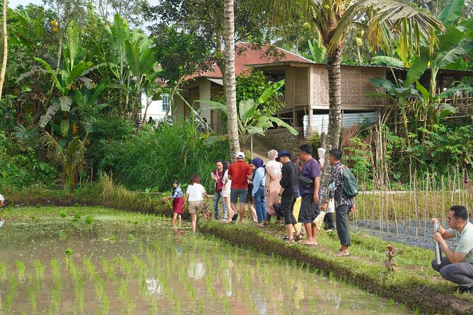 Tete Batu Tour (Culture, Rice Terraces and Waterfalls) - Price and value: $72 plus the fuel surcharge reality