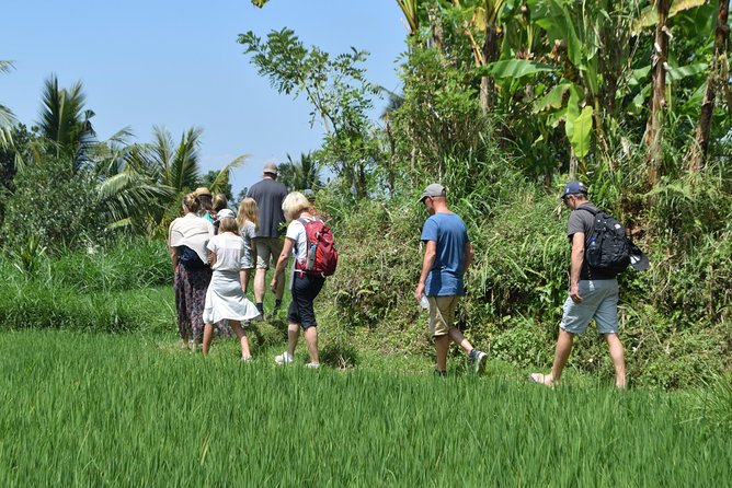 Tetebatu Walking Tour - Rice Terraces, Waterfall & Monkey Forest - Waterfalls with swim time at Burung Walet, then Tetebatu Falls