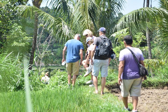 Tetebatu Walking Tour - Rice Terraces, Waterfall & Monkey Forest - Rice terraces and Tetebatu Tourist Village: where rural life shows up