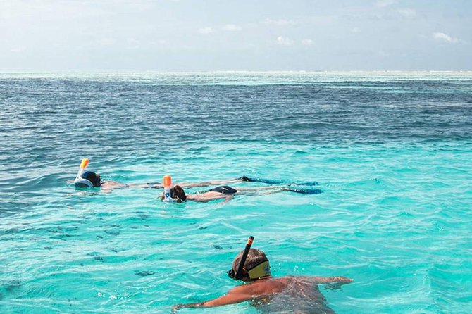 The Best 2-point Snorkeling in Padangbai: Blue lagoon and Tanjung jepun - Key points before you book