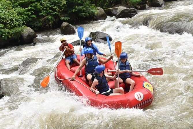 The Best Ayung River Rafting Adventure in Ubud - Who this Ayung River rafting adventure suits best