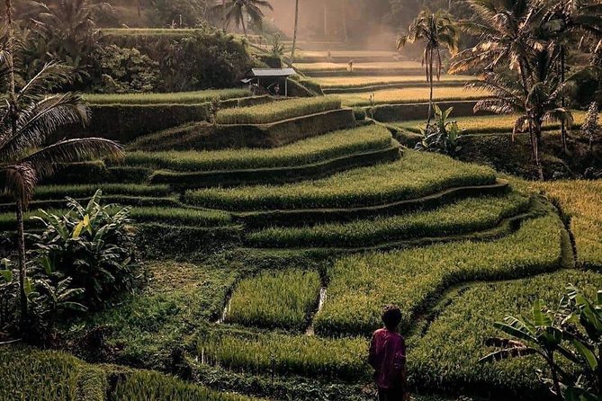The Gates of Heavan - Ubud Jungle Swing & Waterfall Tour - Uma Pakel Agro Tourism Jungle Swing: thrill stop built for photos