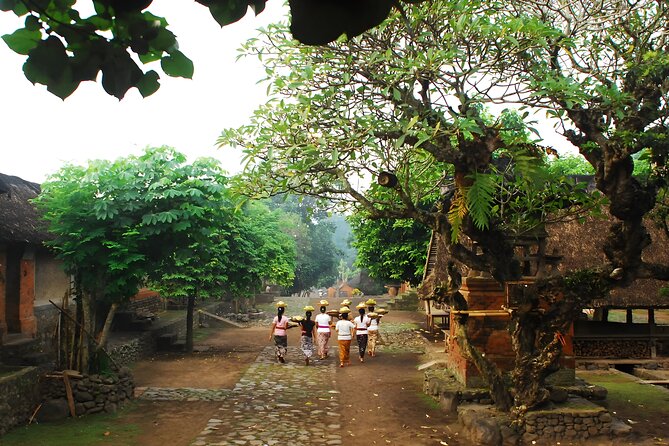 The Gates of Heaven Bali Tour : Bali Instagrammable Trip - The “on the way” passes: famous temple and salt-mining views