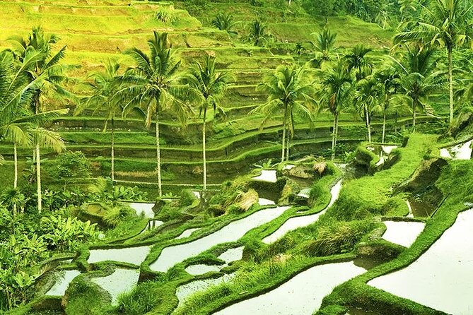 The Popular Of Ubud Private Day Tour - Getting around: hotel pickup, A/C comfort, and that 30 to 40 minute rhythm