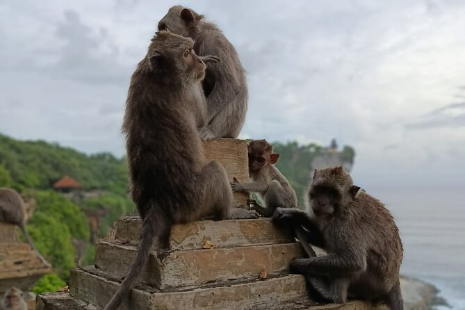 The Uluwatu Tour - Price and What You Actually Get for $55