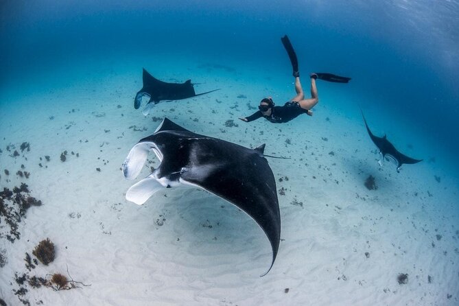 Three Islands Snorkeling (3 Spots) Manta Rays - From Lembongan - Three-Stop Planning From Lembongan, With Real Snorkel Time