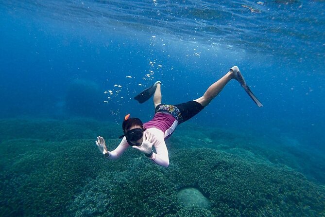 Three Islands Snorkeling (3 Spots) Manta Rays - From Lembongan - What I’d Pack for a Comfortable Half-Day