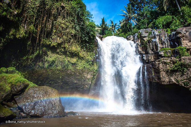 Three Main spot Bali Waterfall with Swing - Ubud Jungle Swing: The Thrill and the Extra Cost
