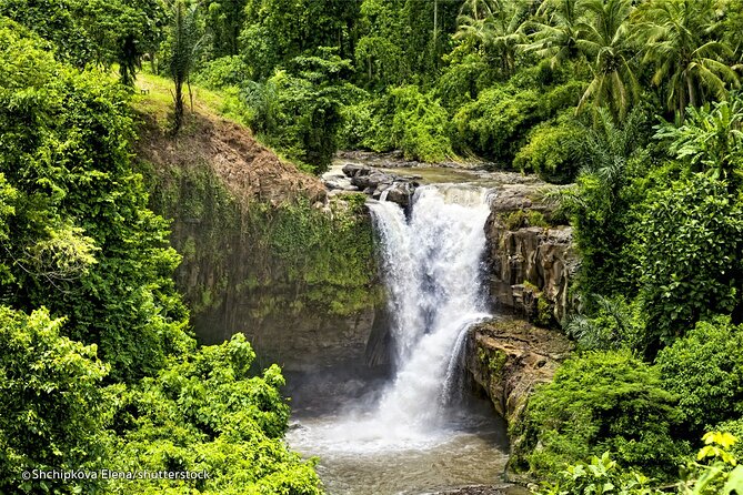 Three Main spot Bali Waterfall with Swing - Price and Value: What Your $46 Covers