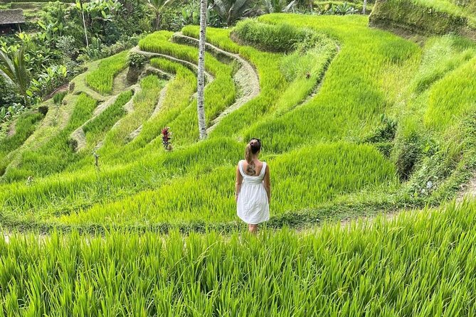 Tirta Empul temple, Jungle Swing and Waterfalls - Private Tour - Getting the day rolling with pickup and a comfortable ride