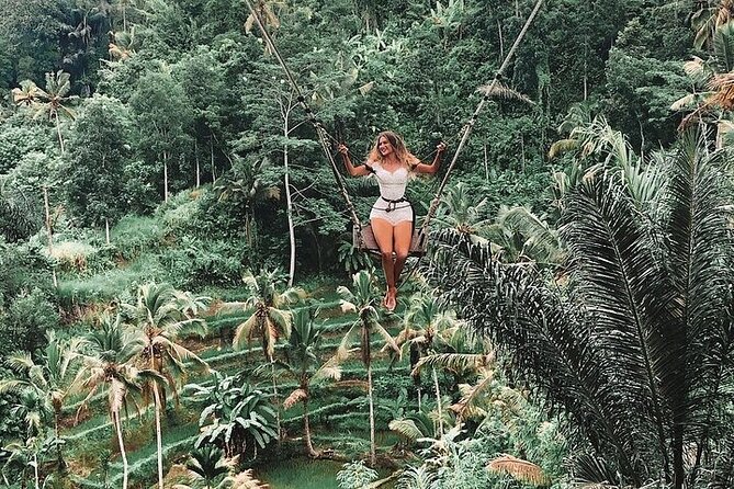 Tlaga Singha Infinity Pool, Jungle swing & Rice Terrace Trip - dAlas Jungle Swing: The High View for Social-Ready Photos