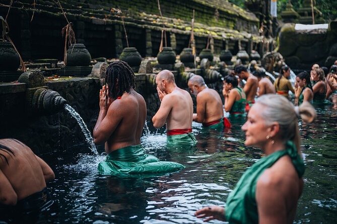Top Ubud Attractions: Private Full-Day Guided Tour - Key highlights I think you will care about