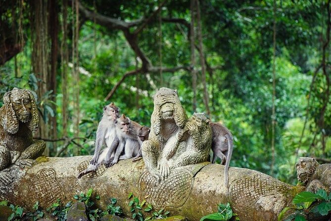 Top Ubud Attractions: Private Full-Day Guided Tour - Sacred Monkey Forest Sanctuary: wildlife viewing with real energy