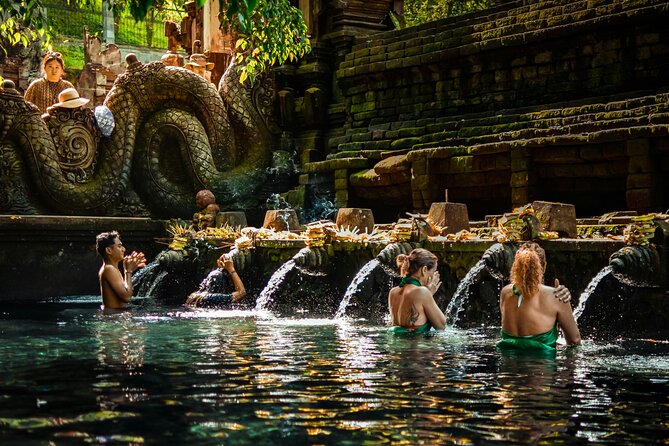 Top Ubud Attractions: Private Full-Day Guided Tour - Tegalalang Rice Terrace: time for views, not a speed run