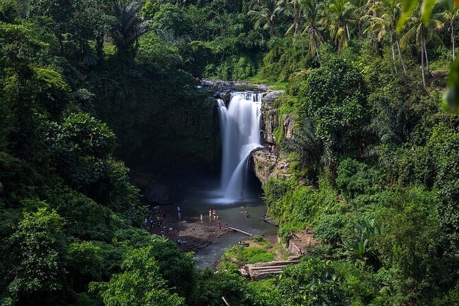Top Ubud Attractions: Private Full-Day Guided Tour - Tegenungan Waterfall: the cool-down stop with optional add-ons