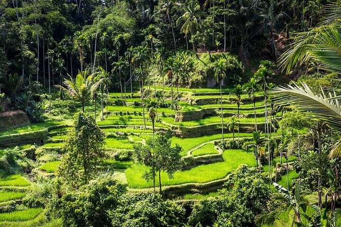 Top Ubud Attractions: Private Full-Day Guided Tour - Mas wood carving in Ubud: seeing craft instead of just buying it