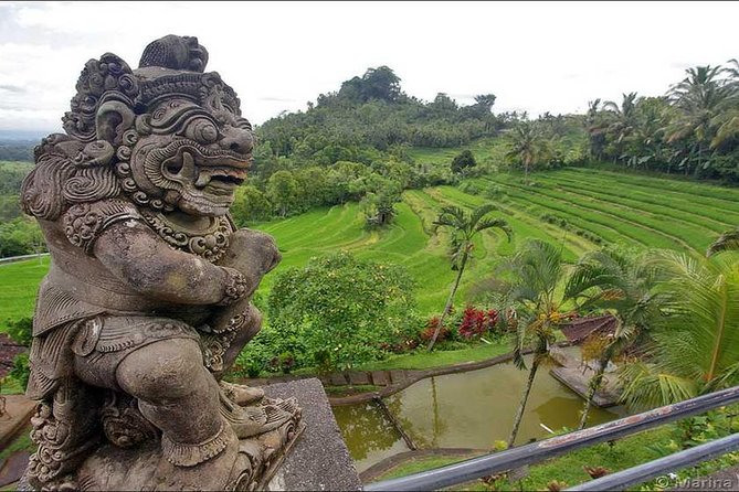Tour: Besakih Temple-Kintamani Volcano-Water temple&Rice Terrace - Tegalalang Rice Terrace: The Classic Bali Shot, Without the Guesswork