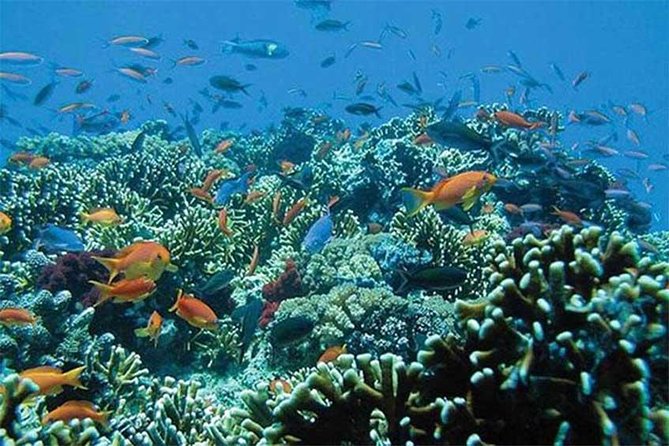 Tour Gate of Heaven at Lempuyang Temple - Blue Lagoon Snorkeling with lunch - What you really get for $51, and what you will likely pay extra