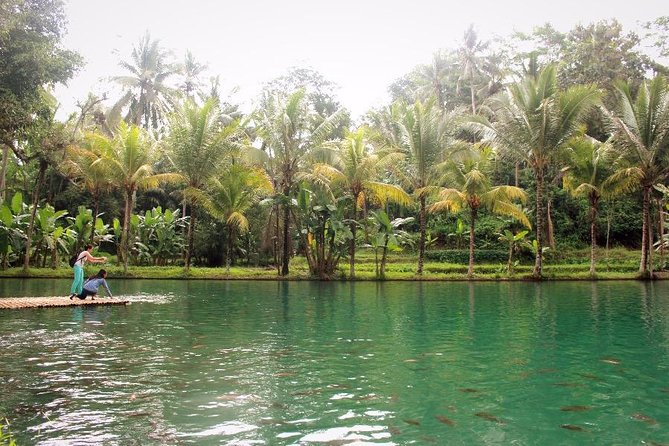 Traditional Balinese Cooking Class with Ubud Tour - From Tea to Technique: What You Learn in the Cooking Class