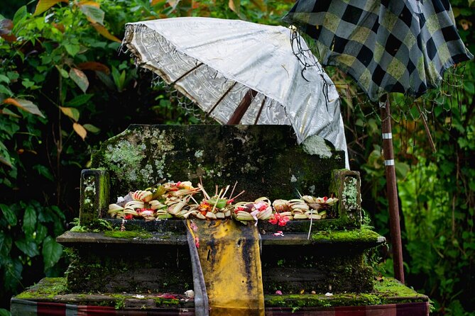 Transformative Journey of Holistic Self-Discovery - Key things that make this North Ubud tour worth your time