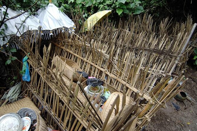 Trunyan Cemetery, Hot Spring, Penglipuran Village, and Waterfall Tour - Trunyan Cemetery and the Taru Menyan tree burial practice