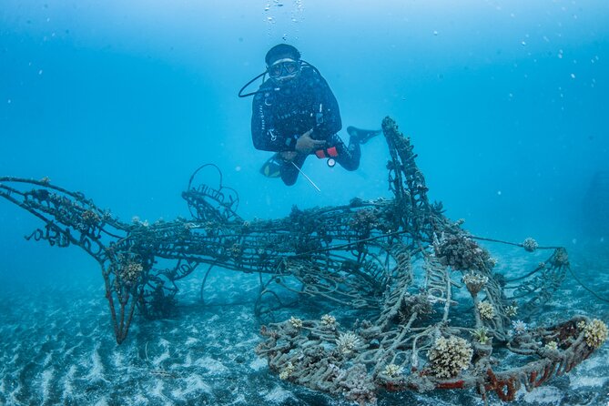 Try Dive Program in the Biorock Pemuteran - Key Points You’ll Care About