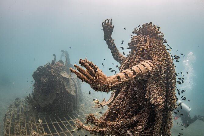 Try Dive Program in the Biorock Pemuteran - Price, Timing, and Why This Is Good Value