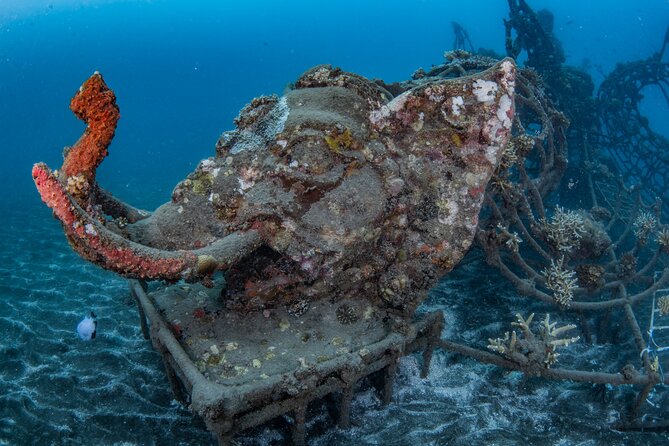 Try Dive Program in the Biorock Pemuteran - Is This the Right Scuba Try for You?
