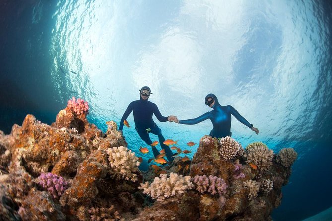 Try Freediving on Nusa Penida - Where you go in Nusa Penida, and how the session runs