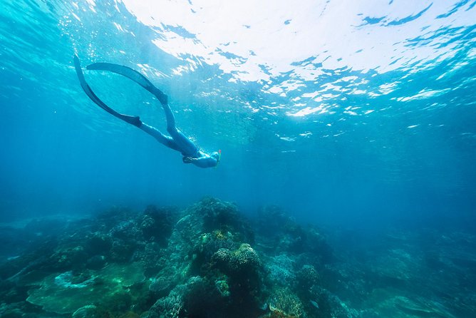 Try Freediving on Nusa Penida - Itinerary flow: classroom to reef practice, with a clear learning purpose