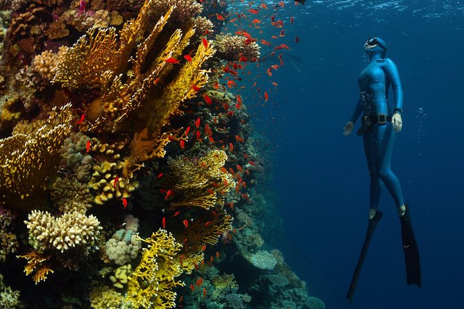 Try Freediving on Nusa Penida - Who this course suits best, and who should rethink it