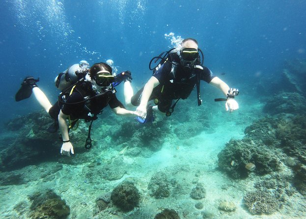 Try Scuba Diving at Padang Bai - Price and What $99.60 Covers (Value, Not Just Cost)